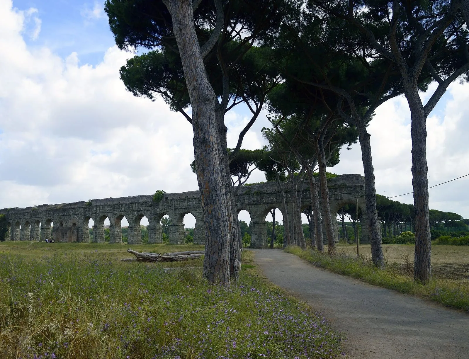 Les arches de l'aqueduc romain du parc des Aqueducs, alignées derrière une allée bordée de pins parasols