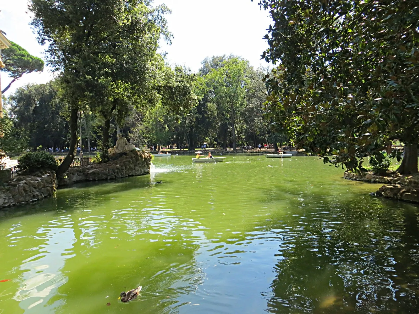 Le petit lac de la villa Borghese à Rome, avec des barques à rames sur l'eau verte et des pins parasols sur les berges