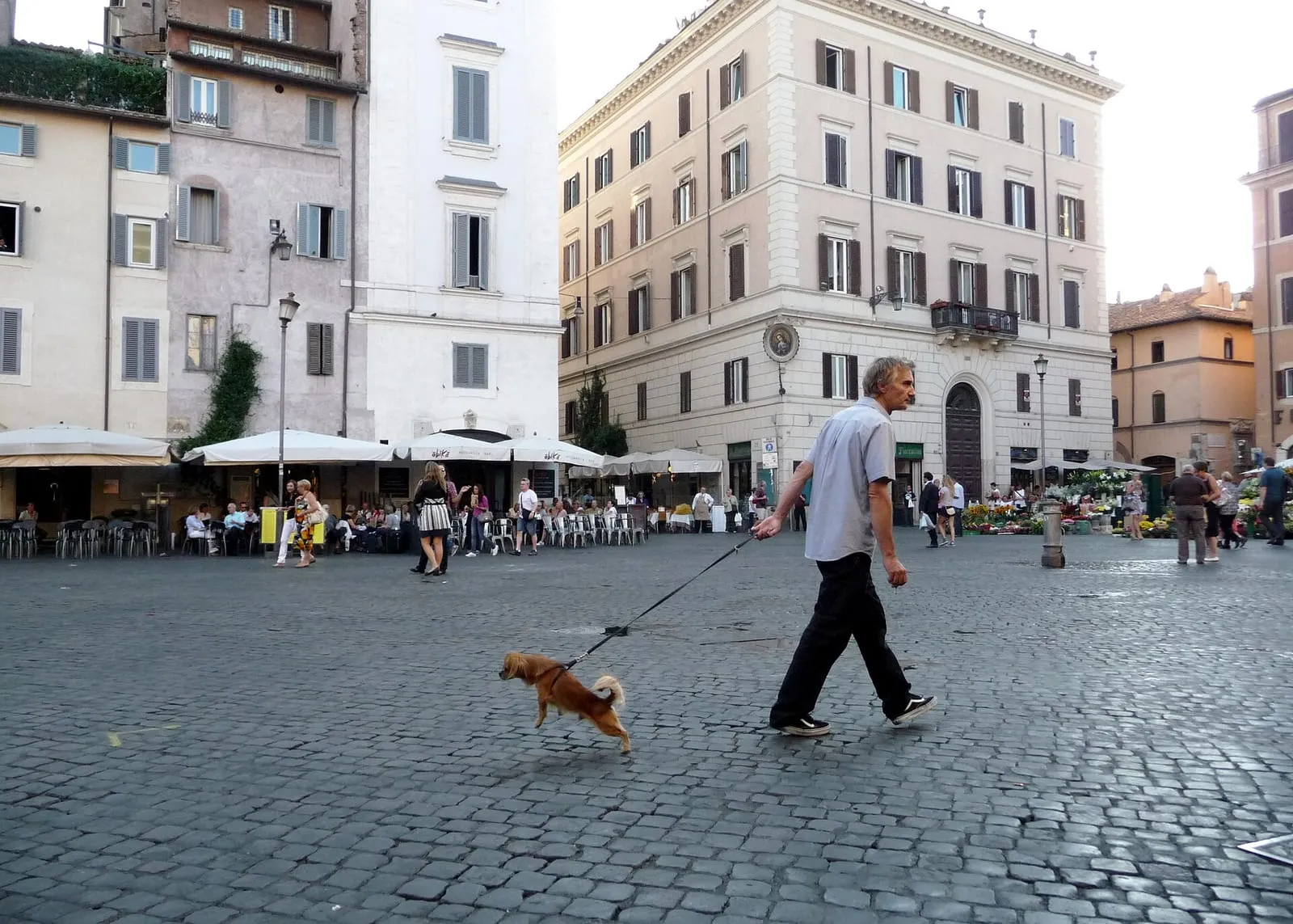 La place du Campo de' Fiori à Rome, ses terrasses de cafés, son pavage et, à droite, les fleurs du marché