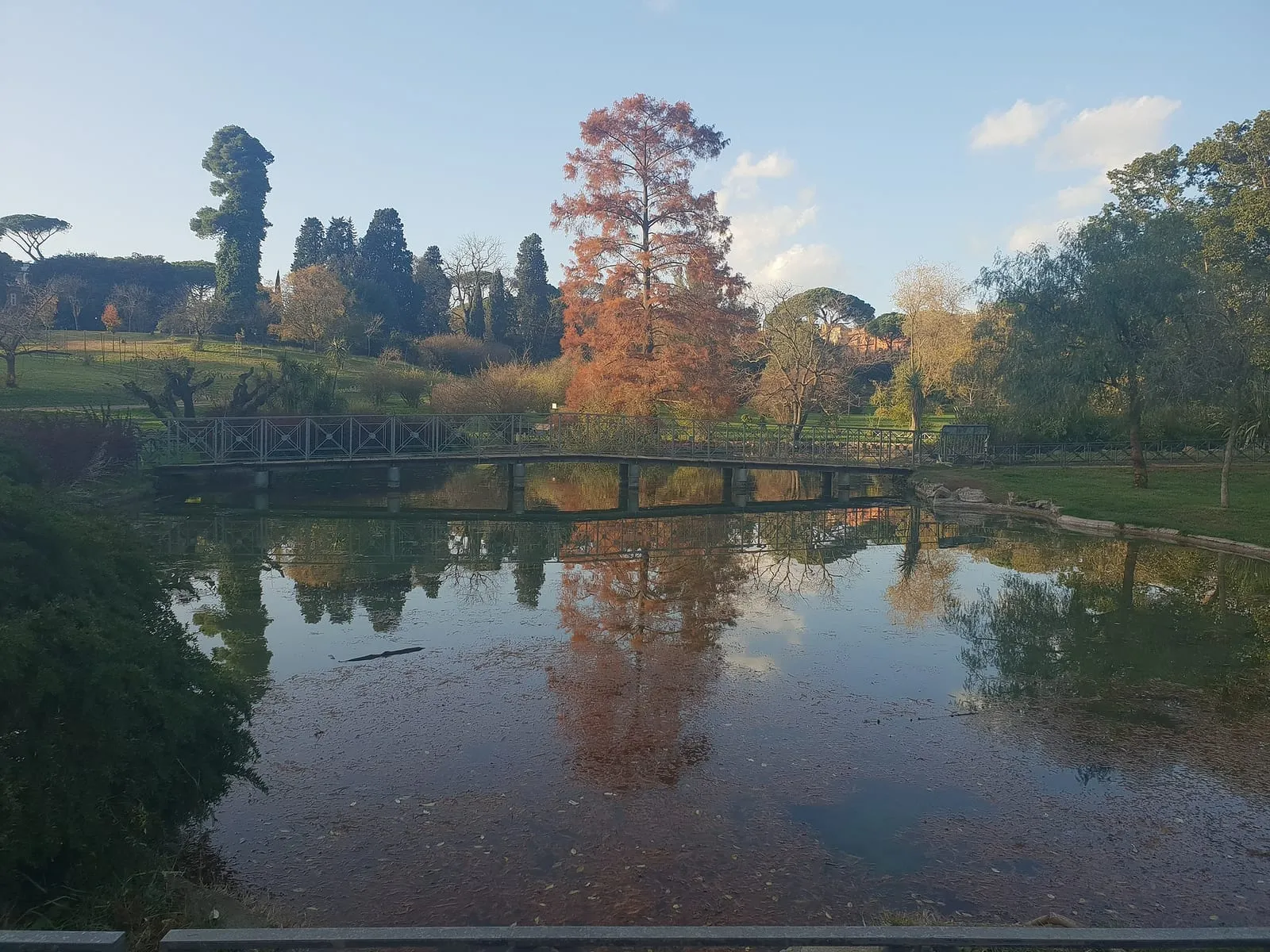 Étang de la villa Doria Pamphilj à Rome, passerelle métallique et reflets des arbres dans l'eau