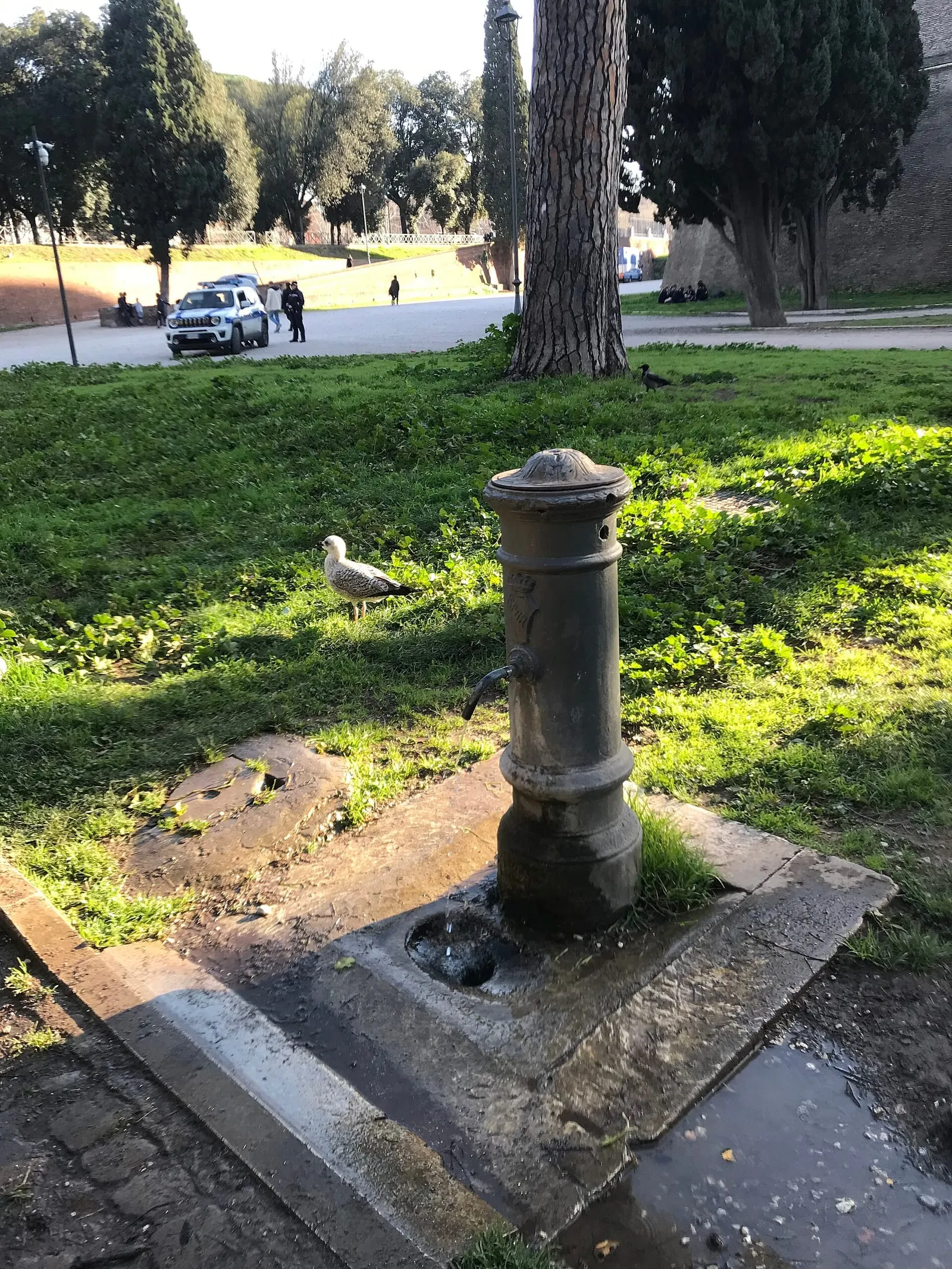 Fontaine publique romaine en fonte, un nasone, avec son bec verseur et l'eau qui s'écoule sur une base en pierre, dans un jardin